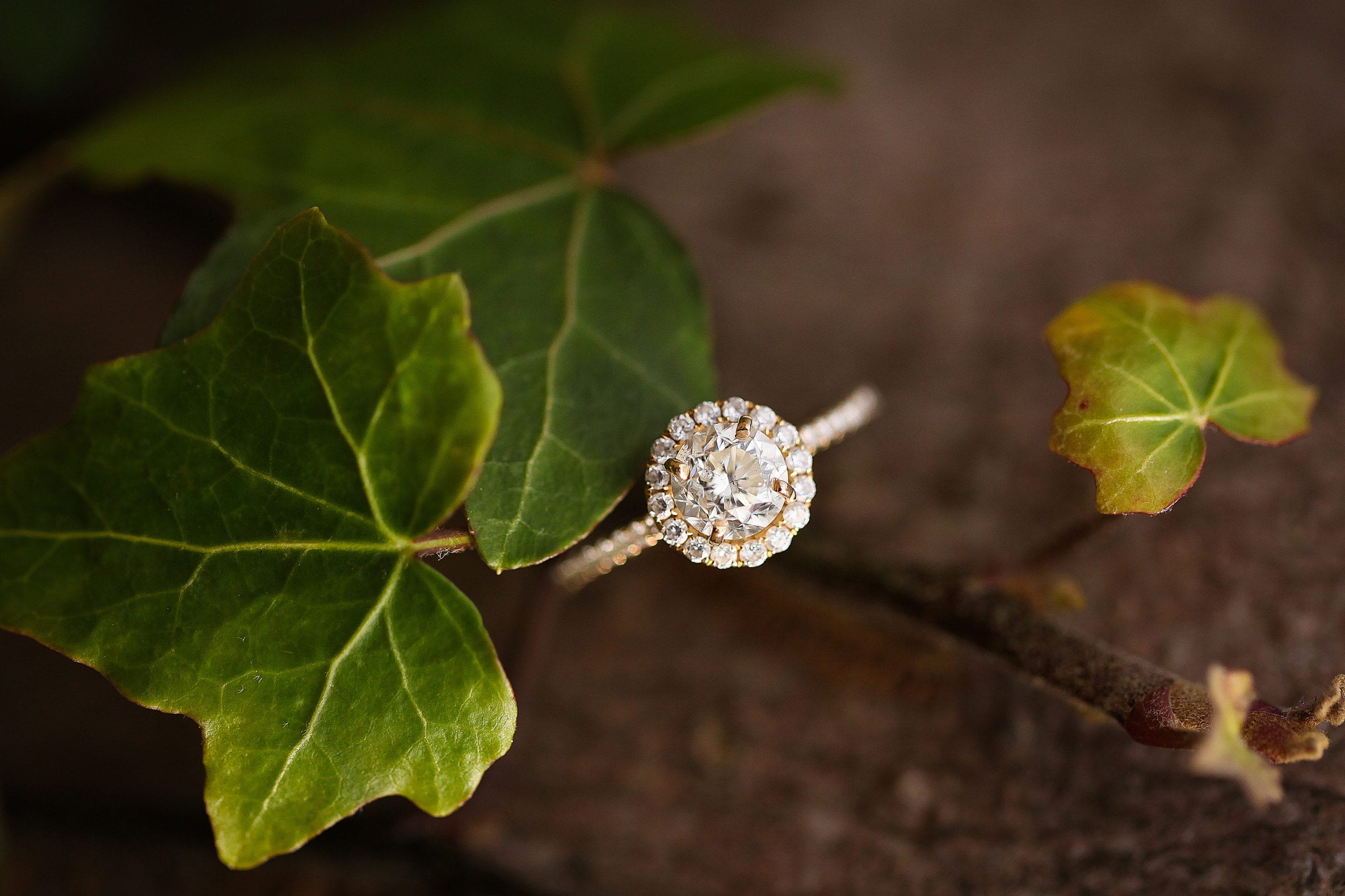 Wedding rings charleston sc
