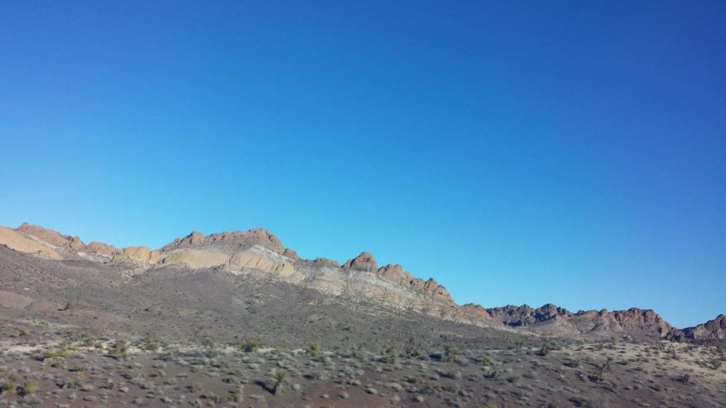 1511619_555995494492550_1718539395_o